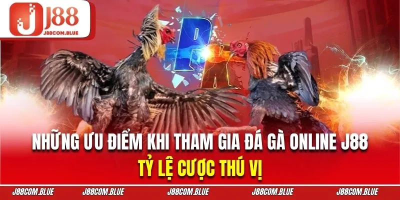 Sảnh đá gà J88 mang đến hệ thống tỷ lệ cược độc đáo nhất