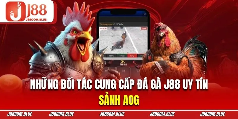 AOG chuyên cung cấp những trận chọi kê tre chất lượng