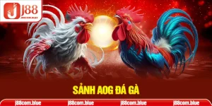 sảnh AOG Đá Gà - ảnh đại diện