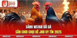 Sảnh ws168 đá gà - ảnh đại diện